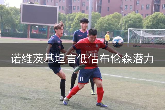 诺维茨基坦言低估布伦森潜力