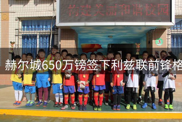 赫尔城650万镑签下利兹联前锋格尔哈特