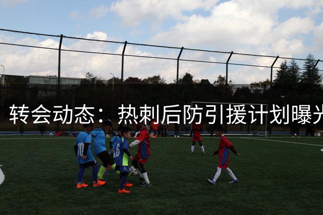转会动态：热刺后防引援计划曝光 多名球员将离队